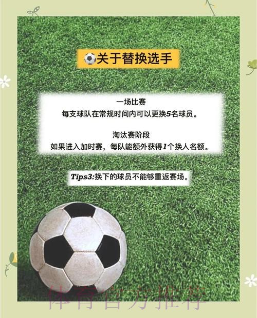 世界杯投注热点全面解析指南